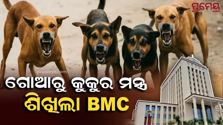 bmc