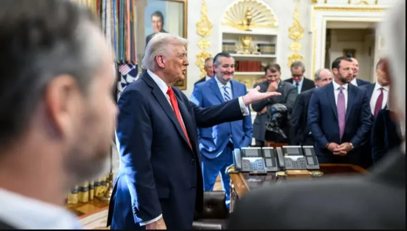 Trump New Idea C5 