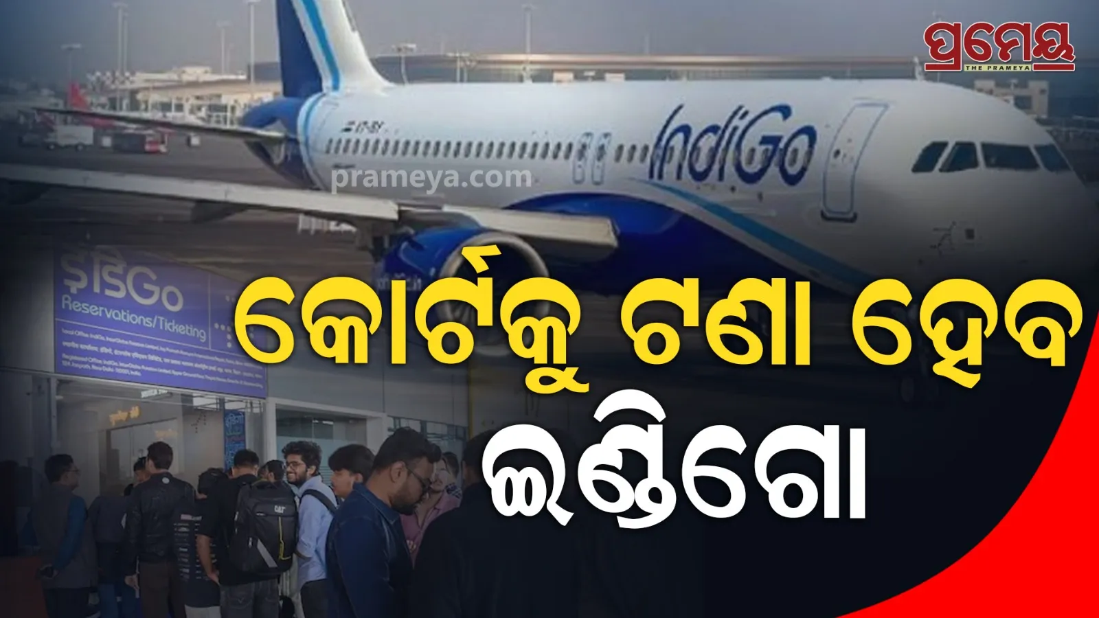 Indigo Crisis