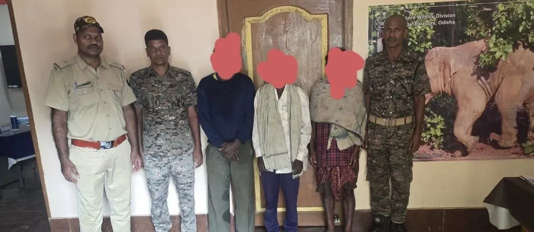 Three poachers arrested with guns in Kuladiha sanctuary