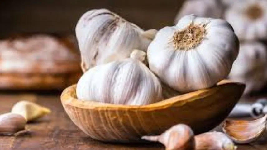 garlic