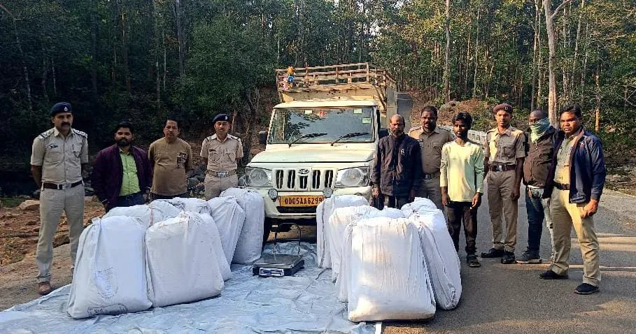 378 kg of marijuana seized, driver arrested