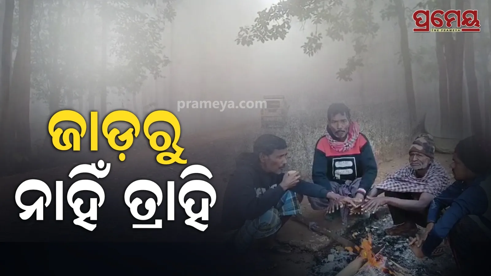 Odisha Cold Wave Continues: Night Temp May Rise Slightly