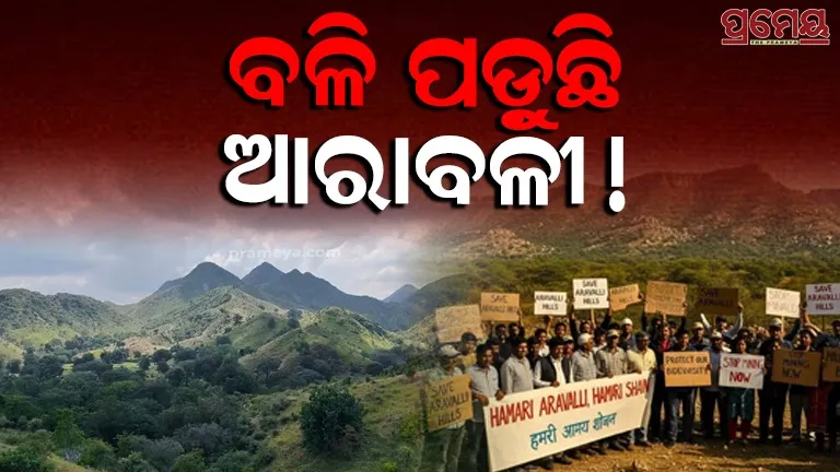 Aravalli Judgment 2025 Aravalli Hills Supreme Court Ruling Aravalli Judgment Death Warrant