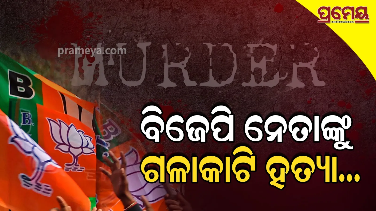 BJP Leader Murdered in Chhattisgarh | Masked Attackers Flee