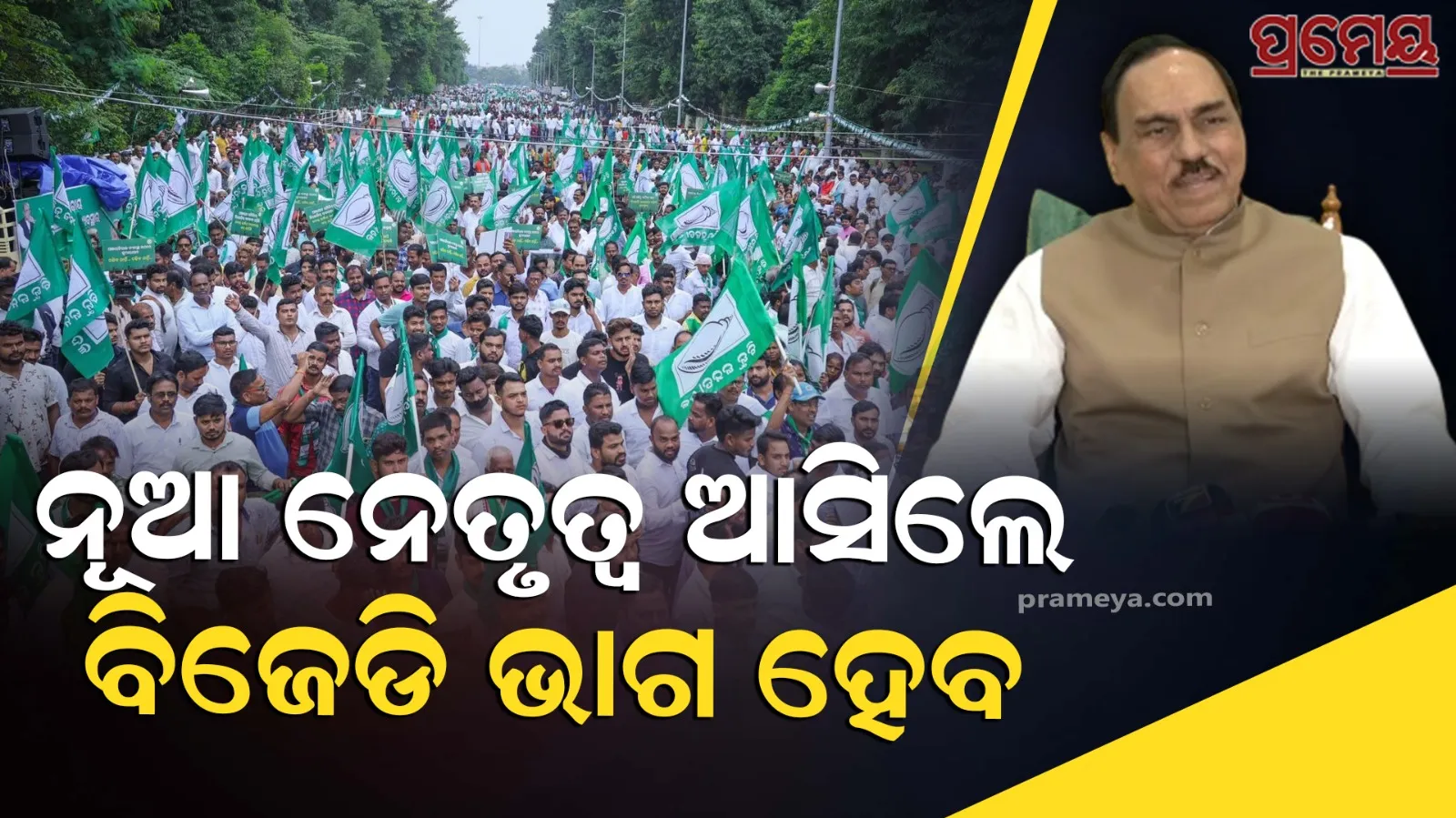 bjd