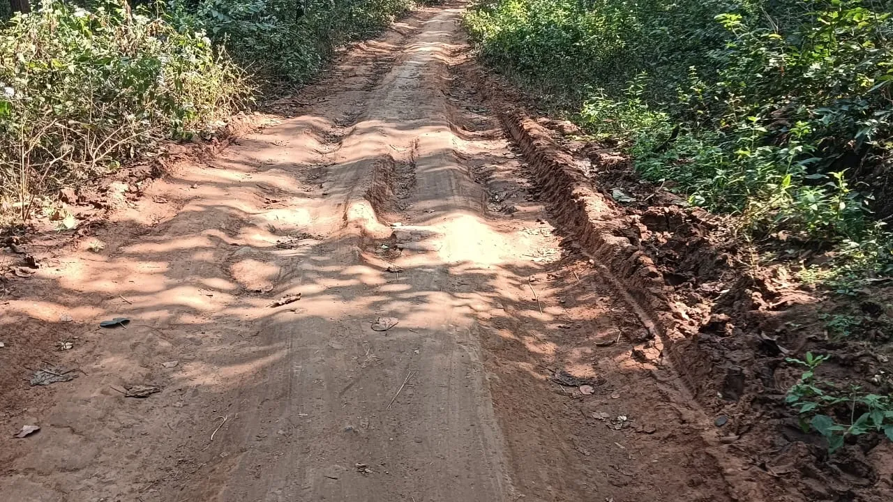 When will the road problems of the forest dwellers be fixed