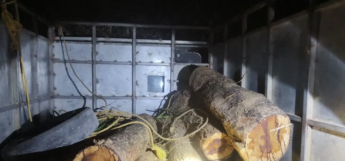 Timber mafia attacks forest officials, snatches timber