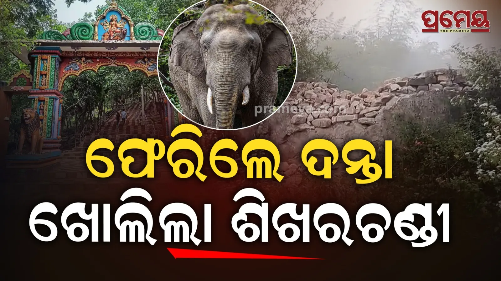 elephant