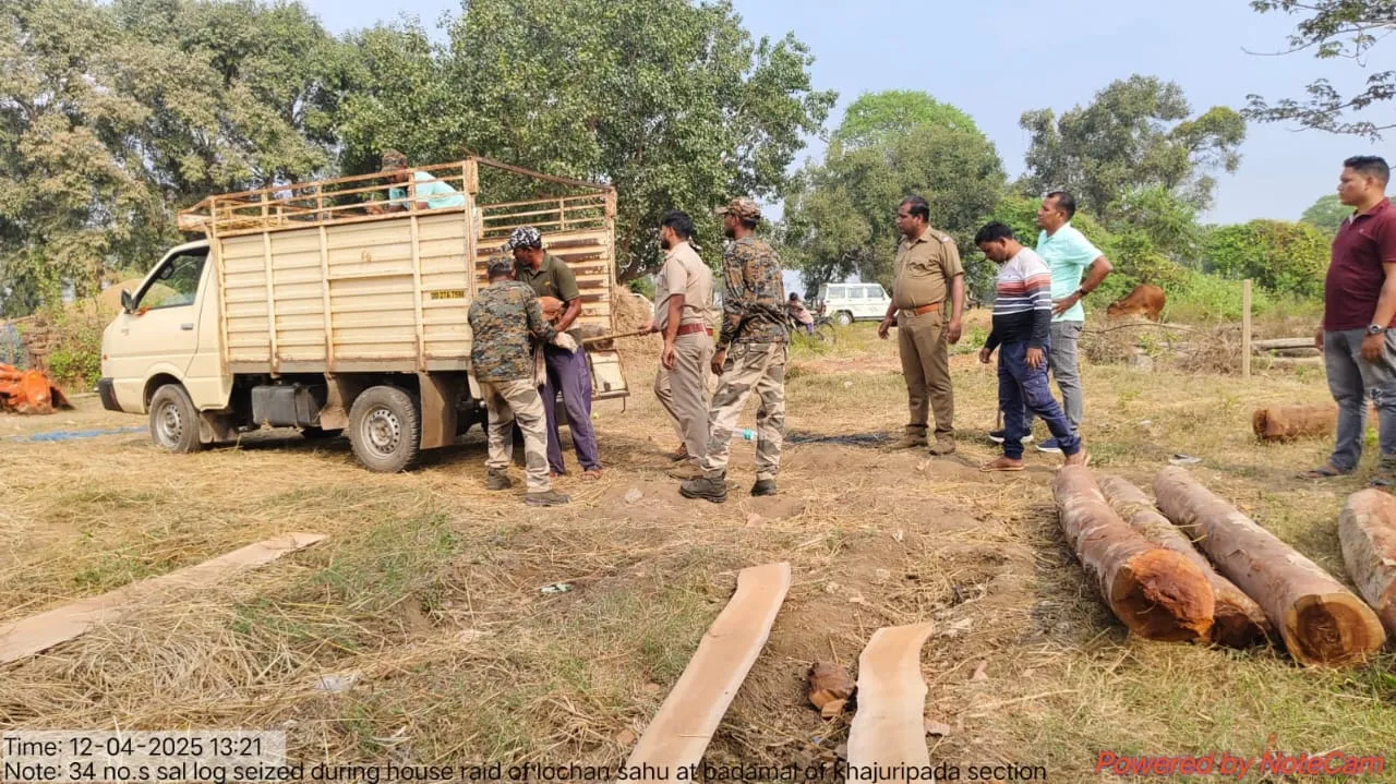 wood seized