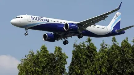 IndiGo plane