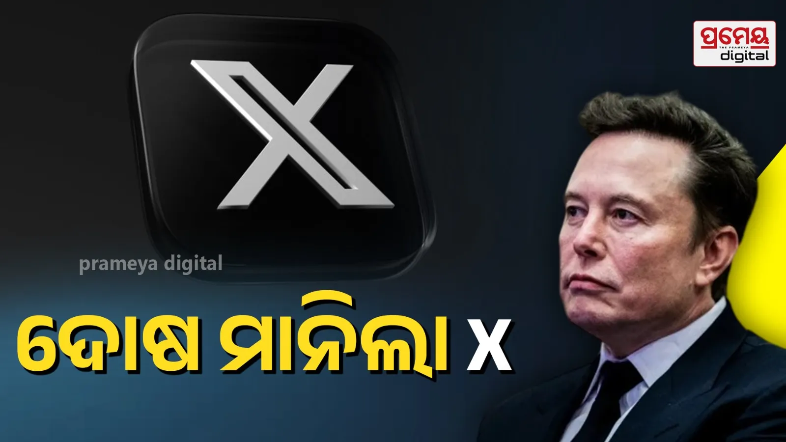 X platform