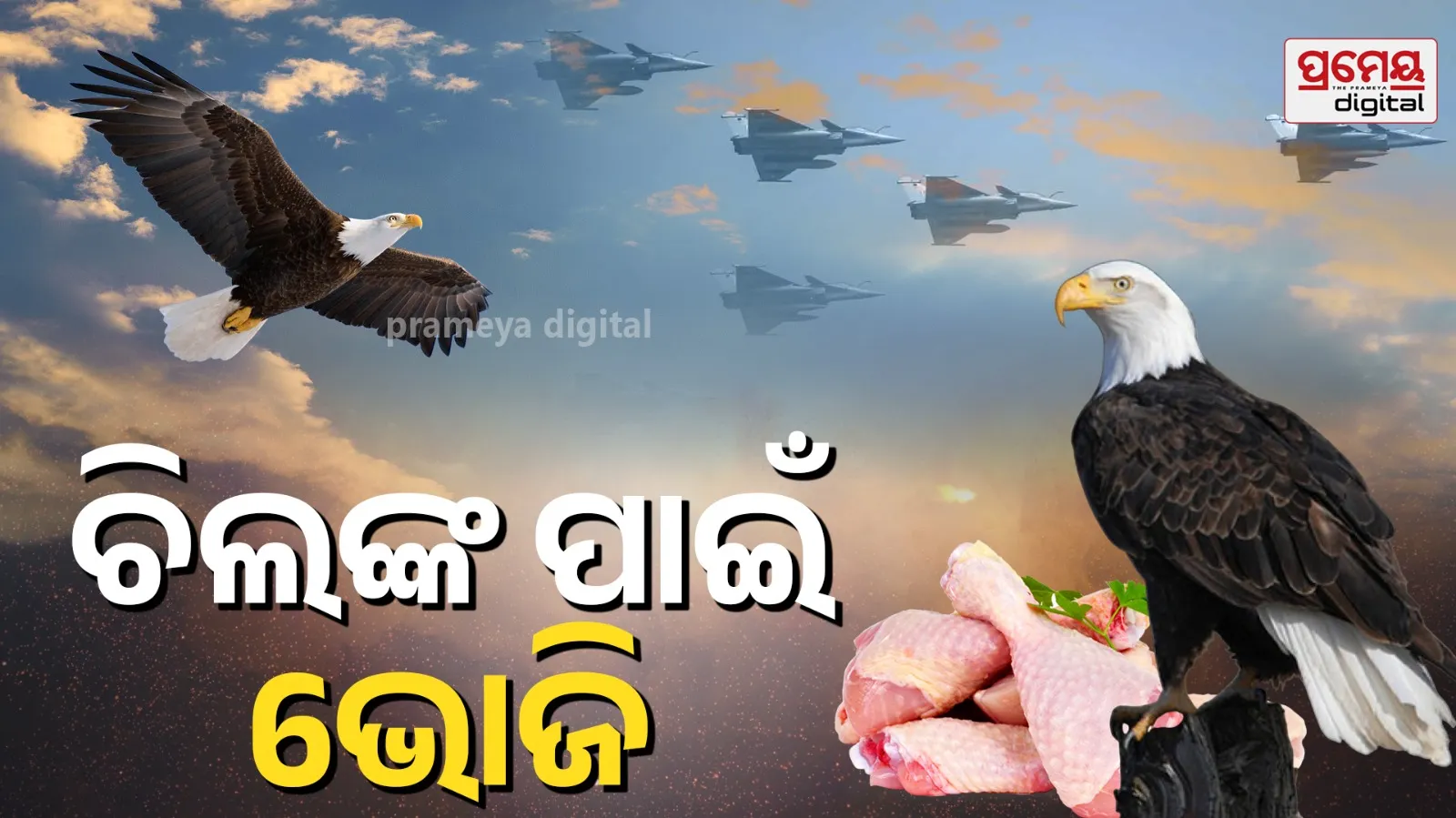 eagle