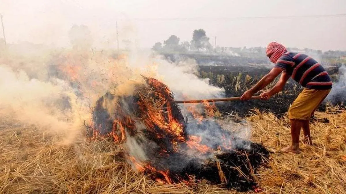 STUBBLE BURNING