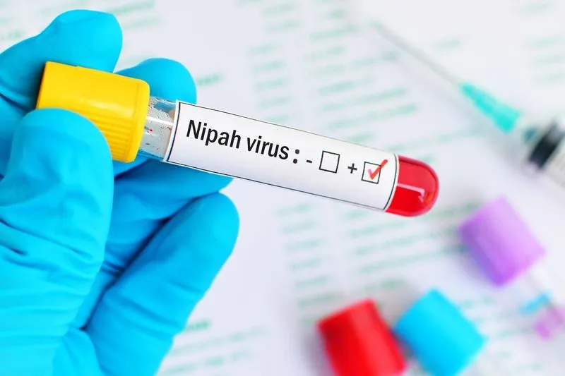  Nipah Cases