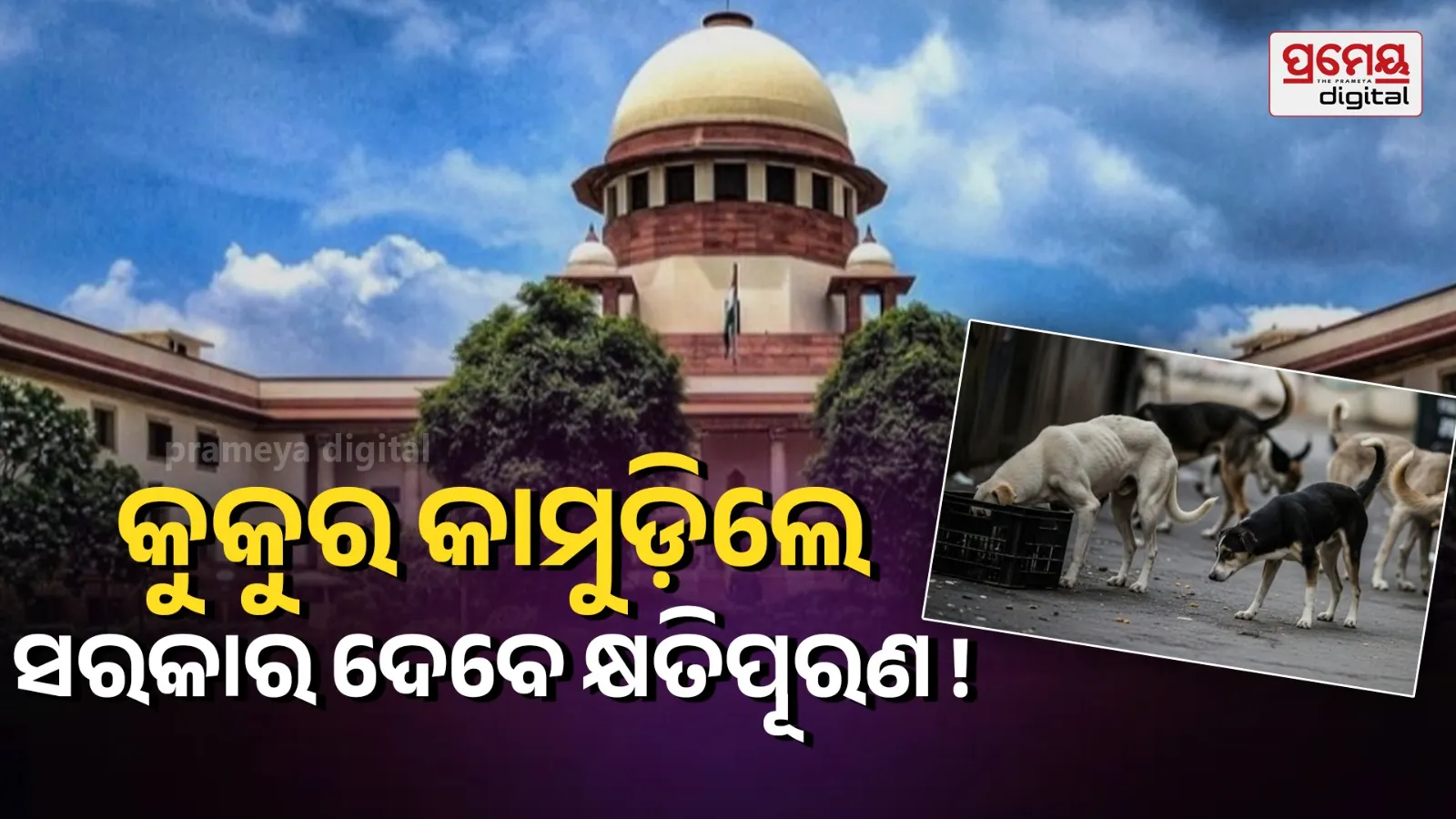 Supreme Court ruling on state compensation for child or elderly death due to dog bite