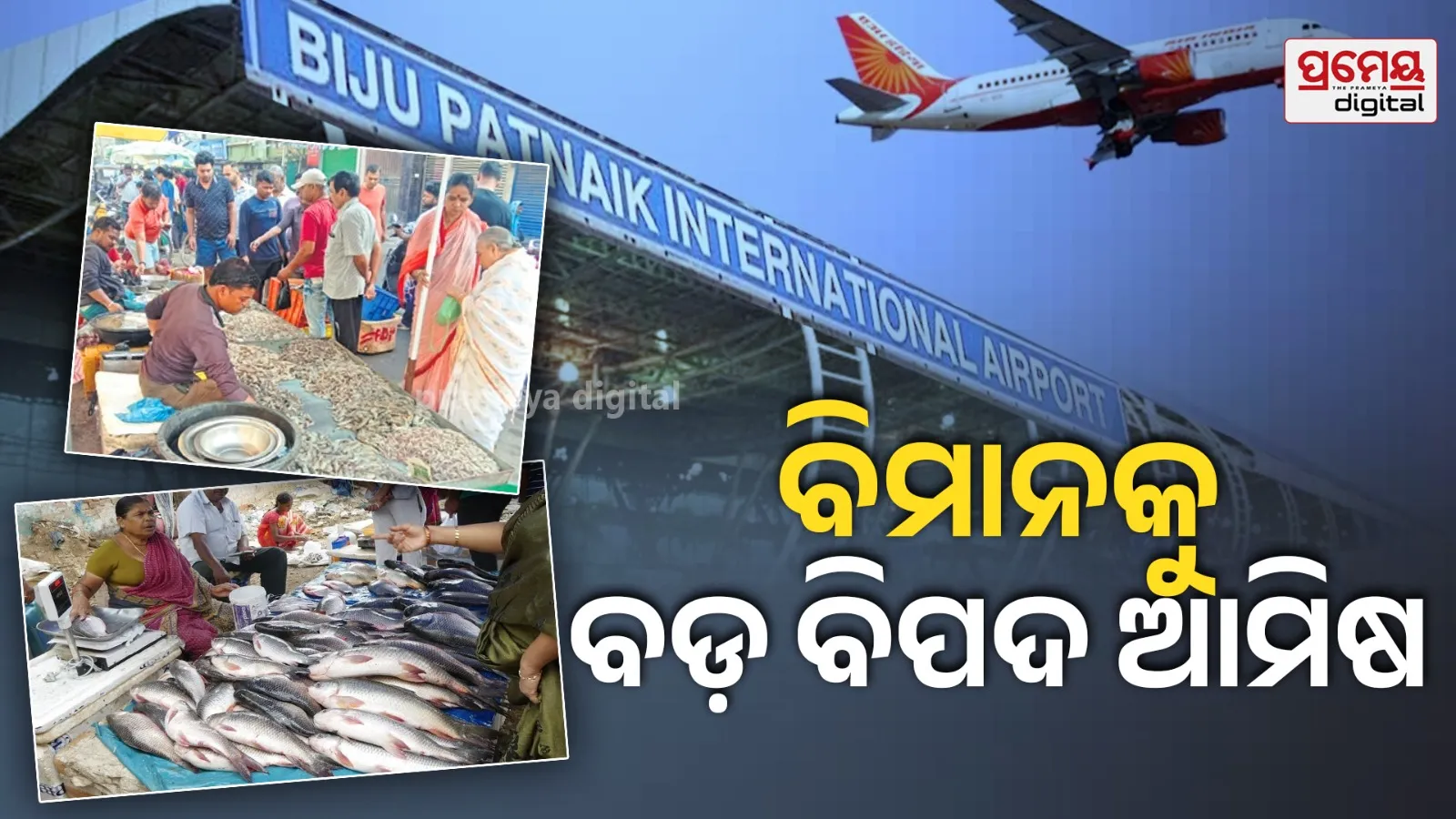 bbsr