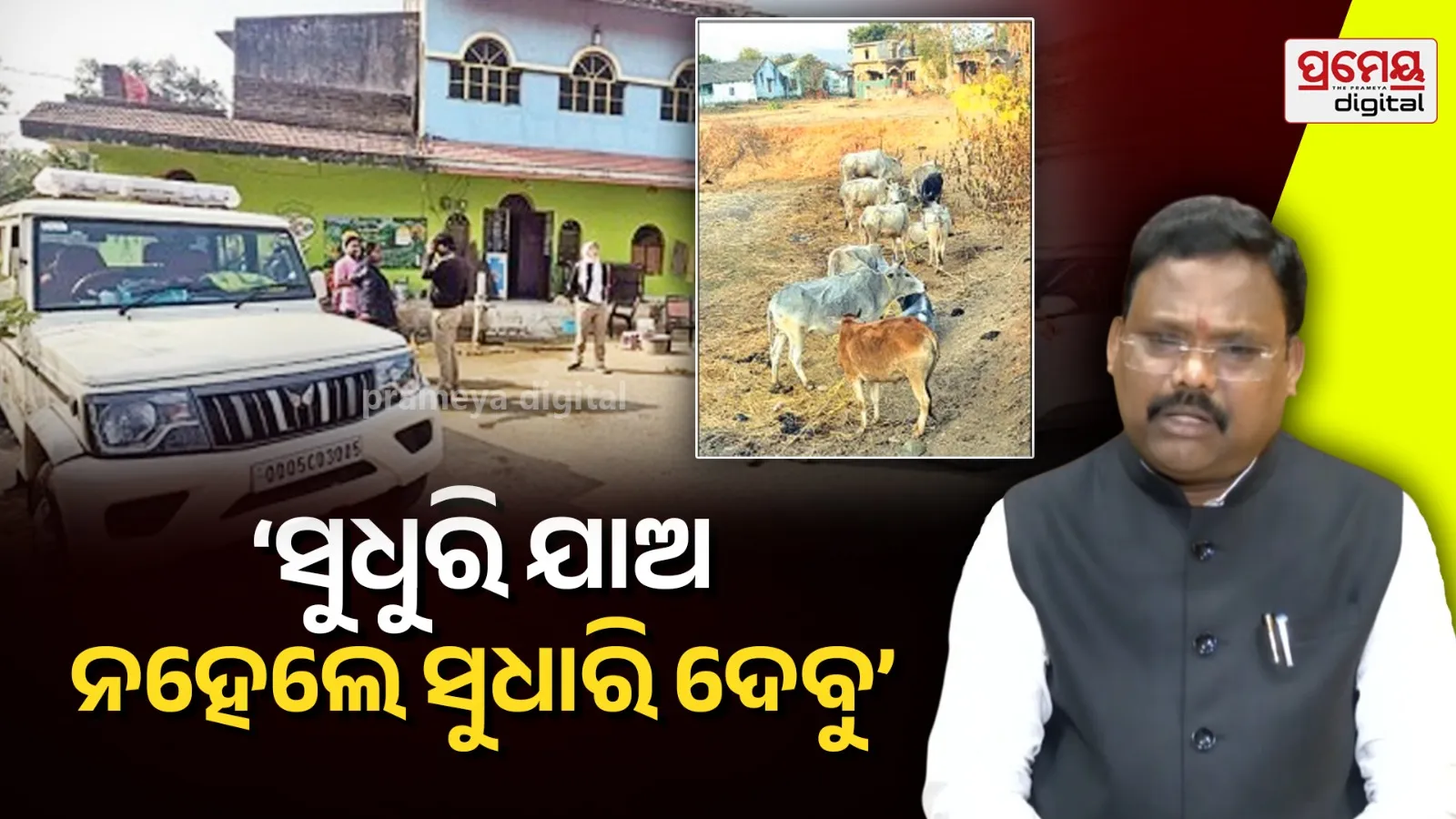 Cattle Smugglers