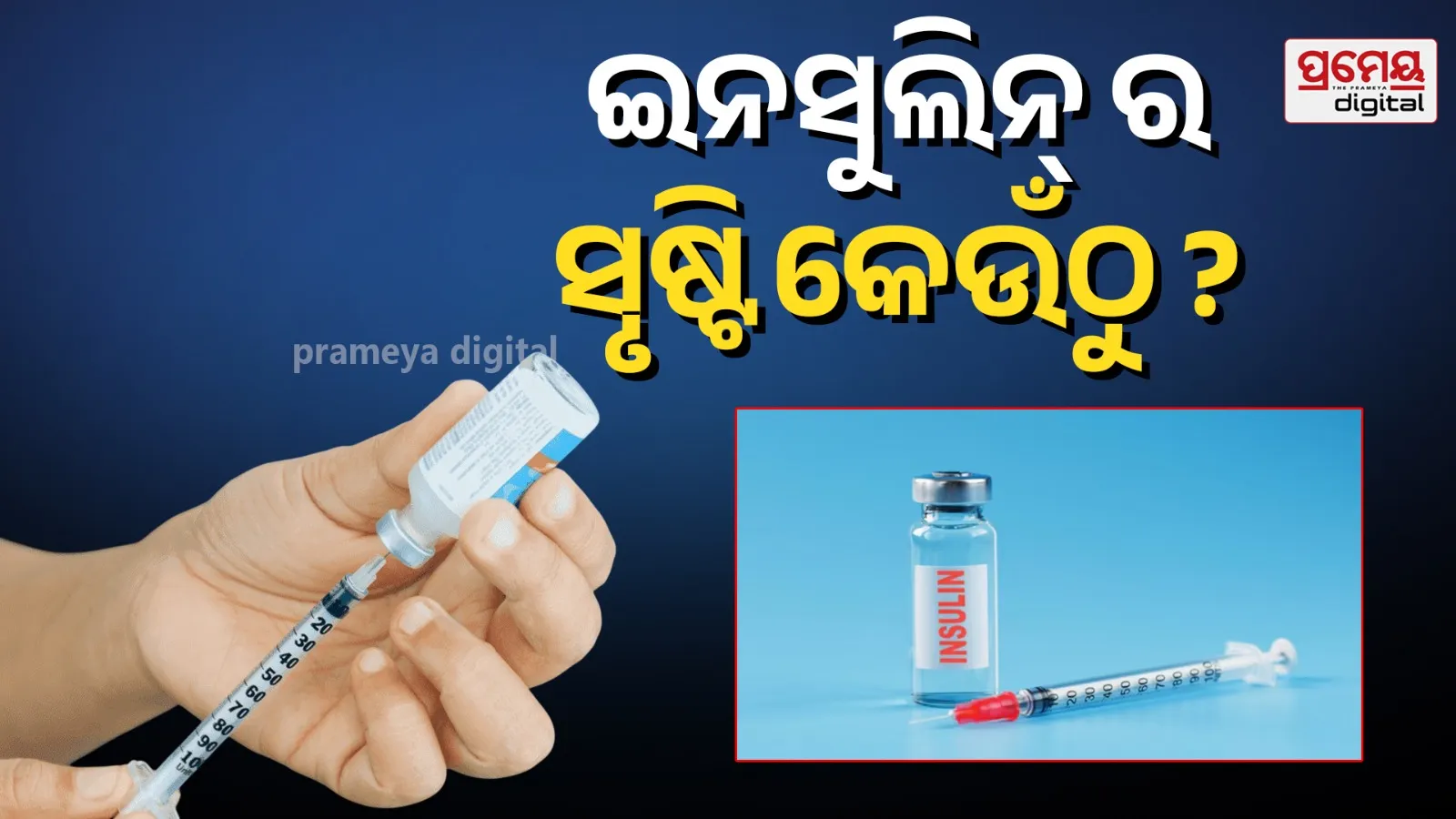  Insulin