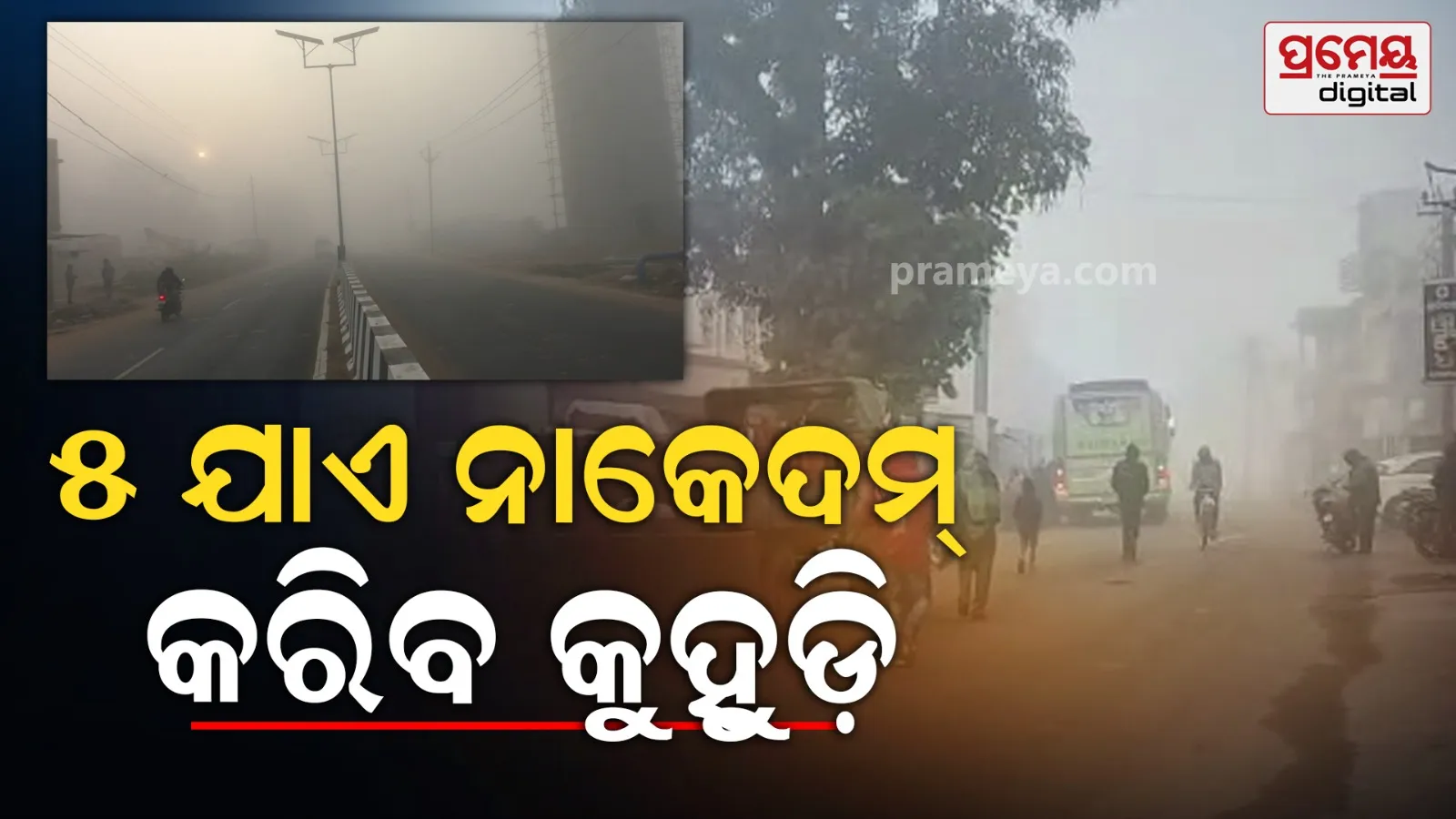 Odisha Cold Wave Alert: Dense Fog & Freezing Nights