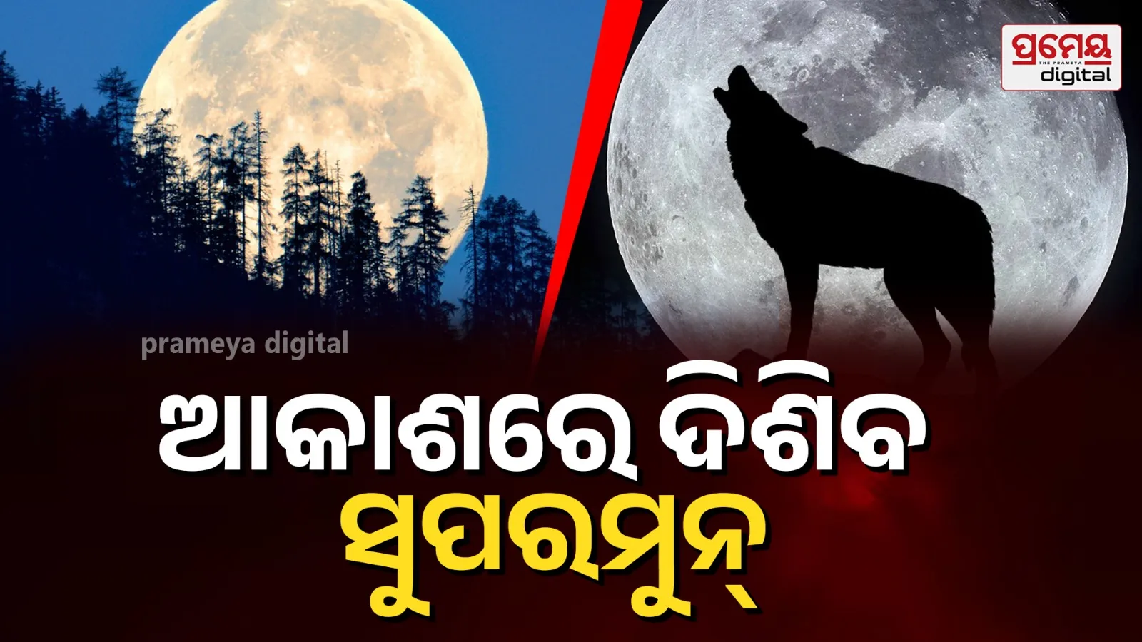 wolf supermoon