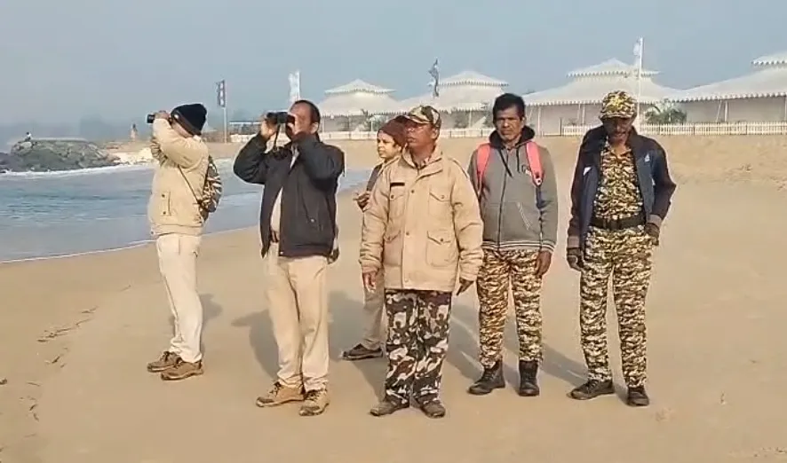 dolphin count