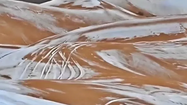 Sahara
