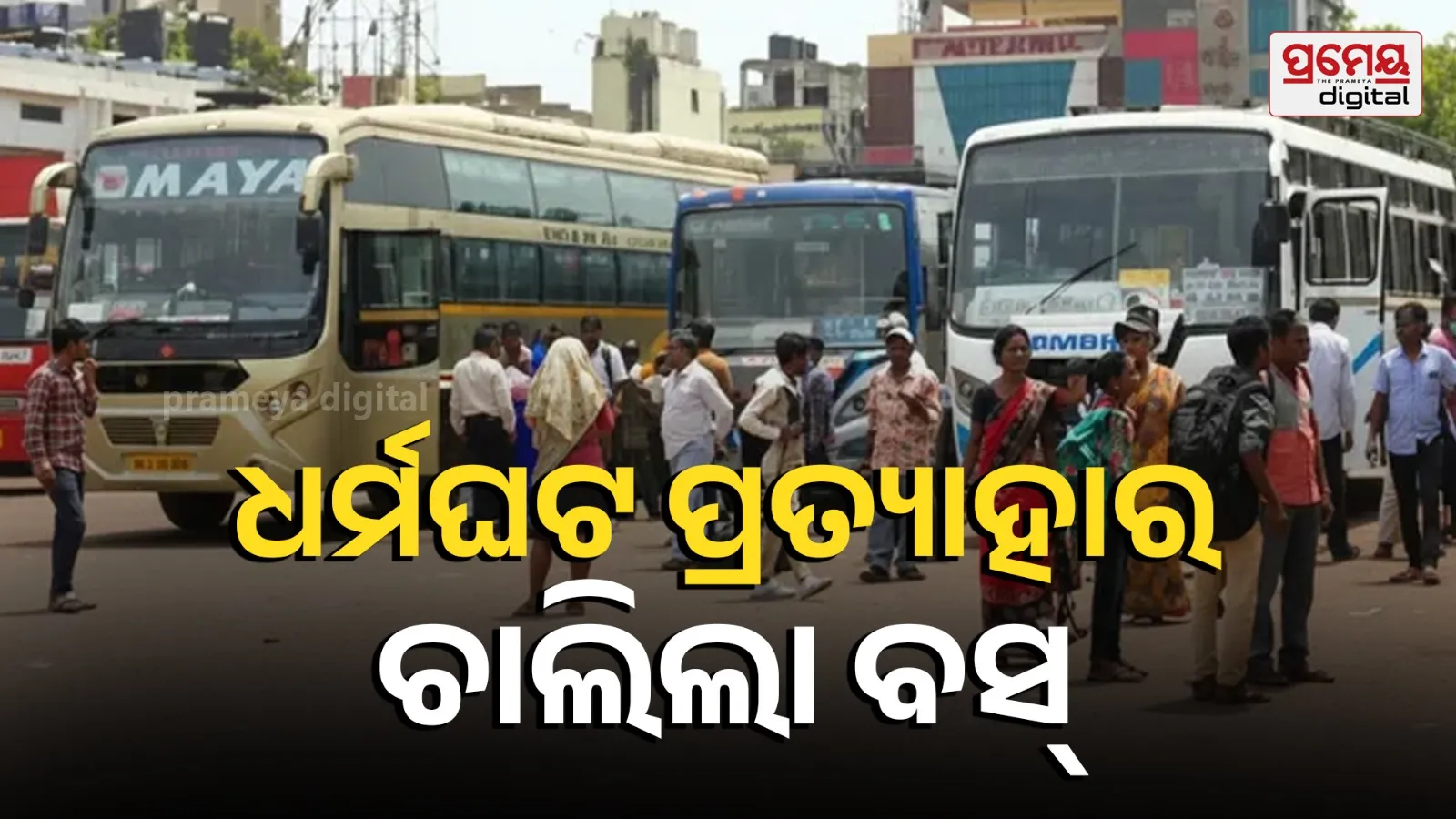 bus