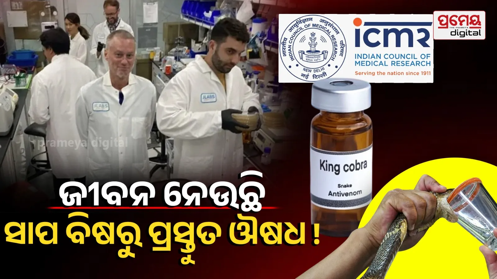 Snake Anti Venom SideEffect ICMR Survey Studies WHO