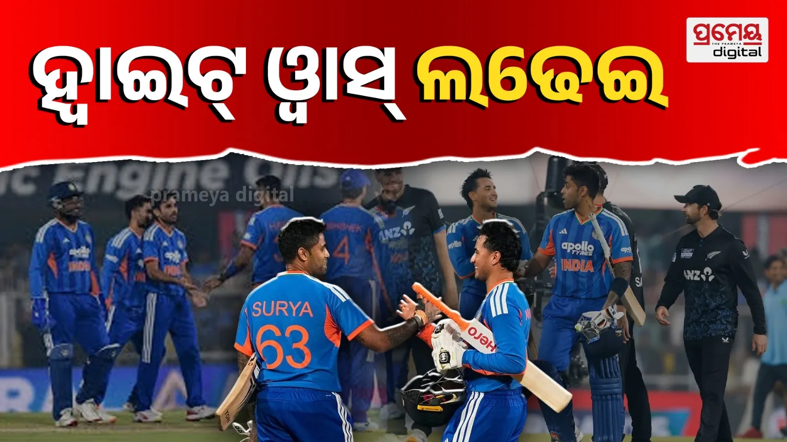 cricket