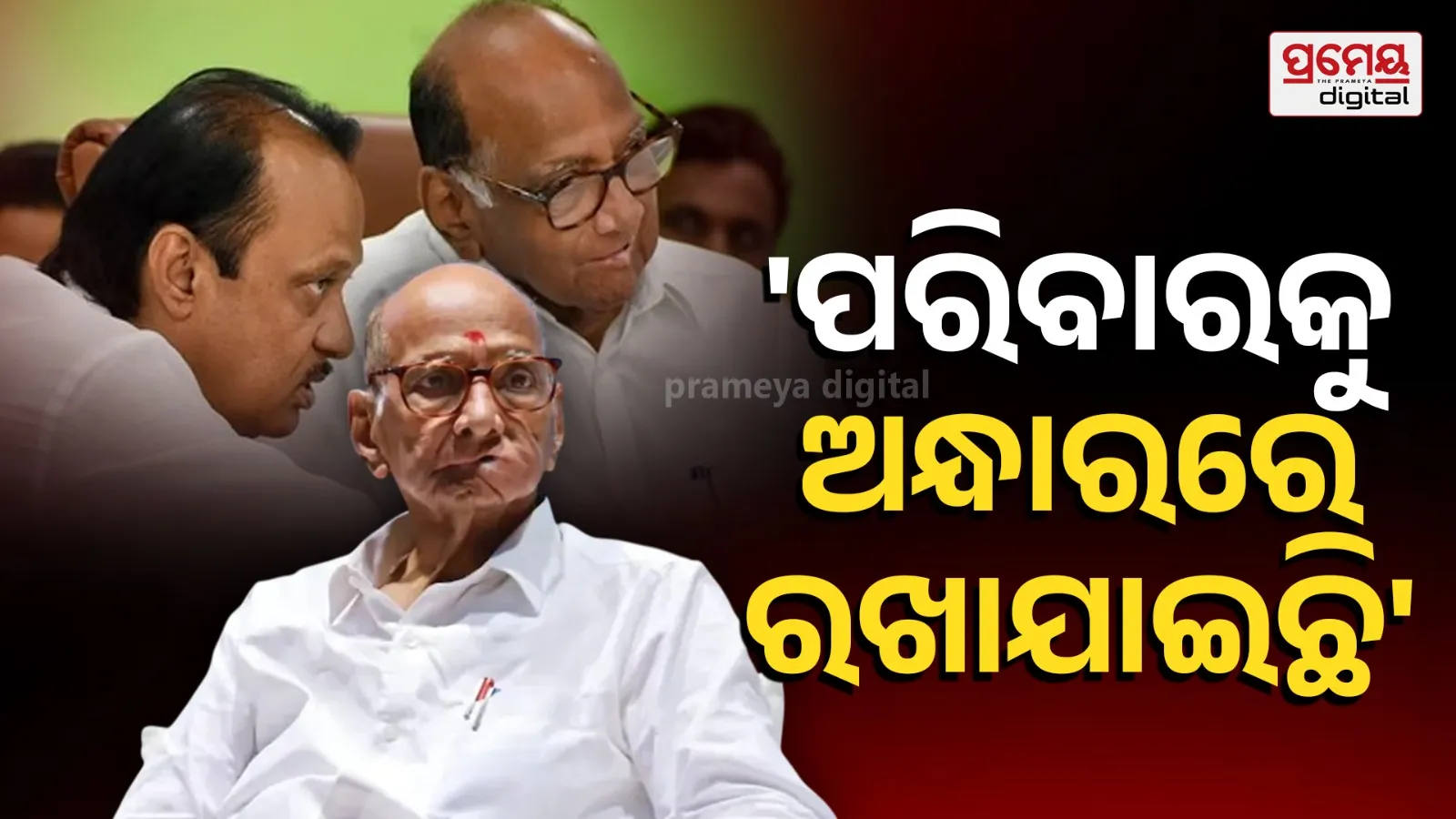 Sharad Pawar on Sunetra’s Deputy CM plans