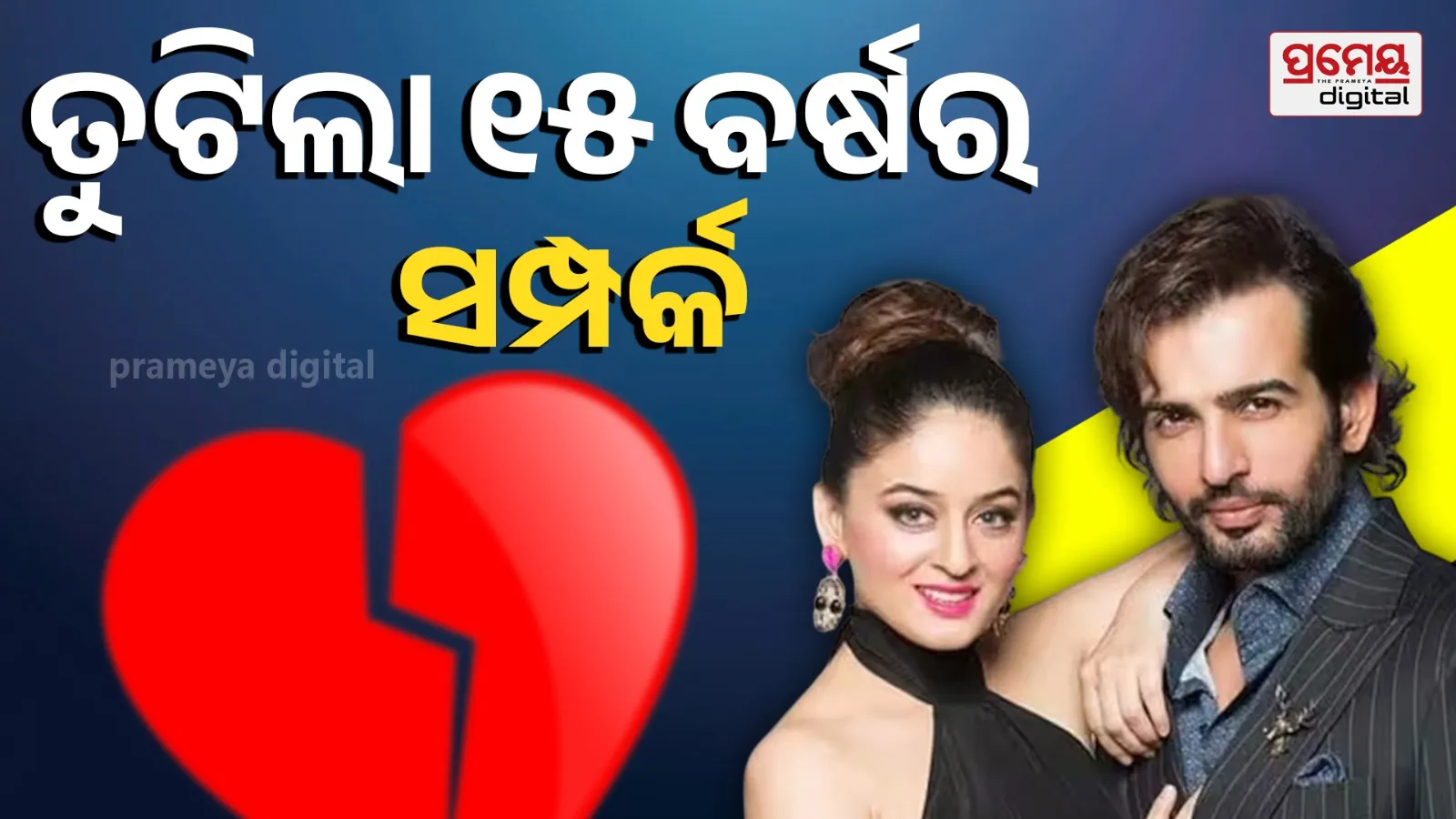 Mahhi Vij, Jay Bhanushali Divorce