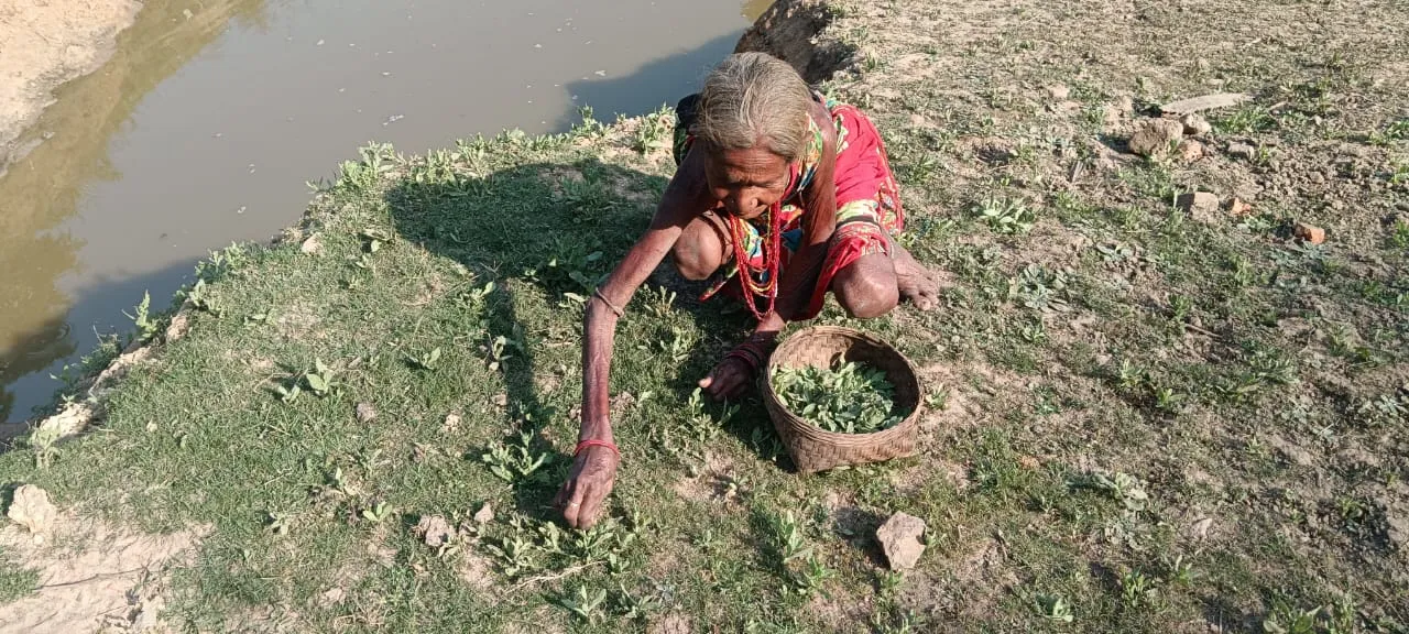 Tribal elderly deprived of basic amenities