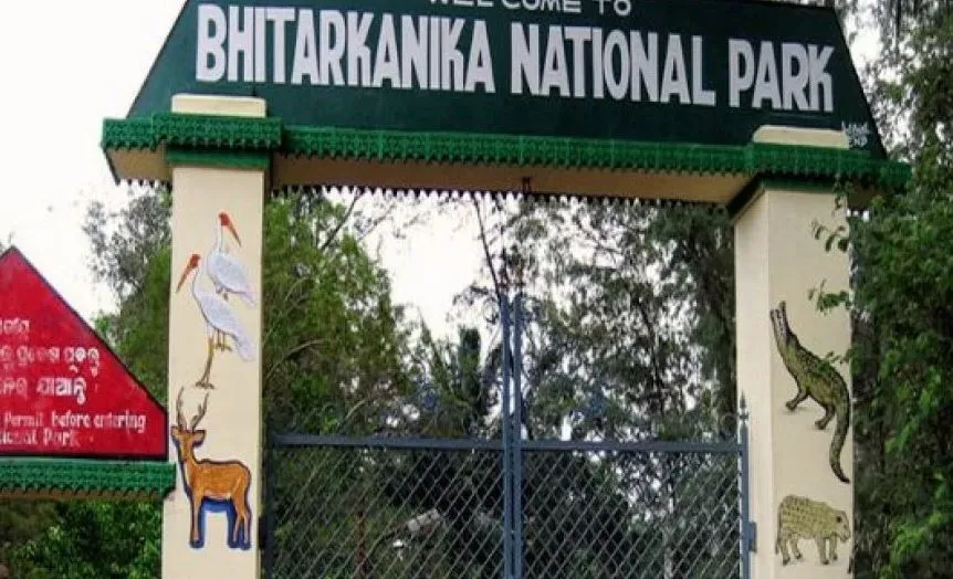 bhitarkanika