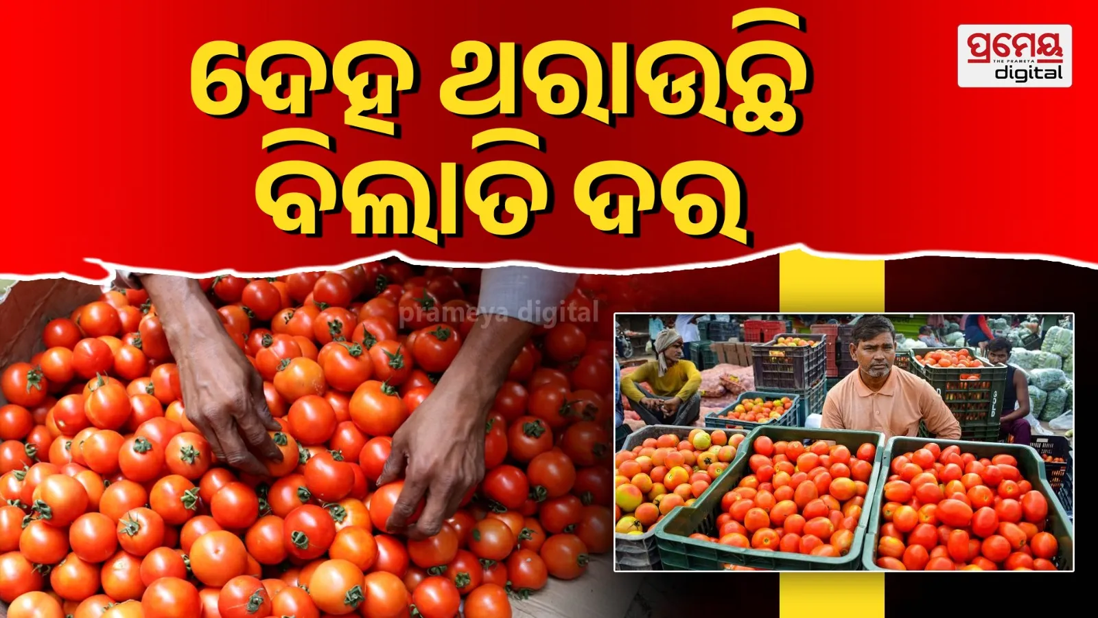 Winter Tomato Price Hits ₹60 | Bhubaneswar Panic