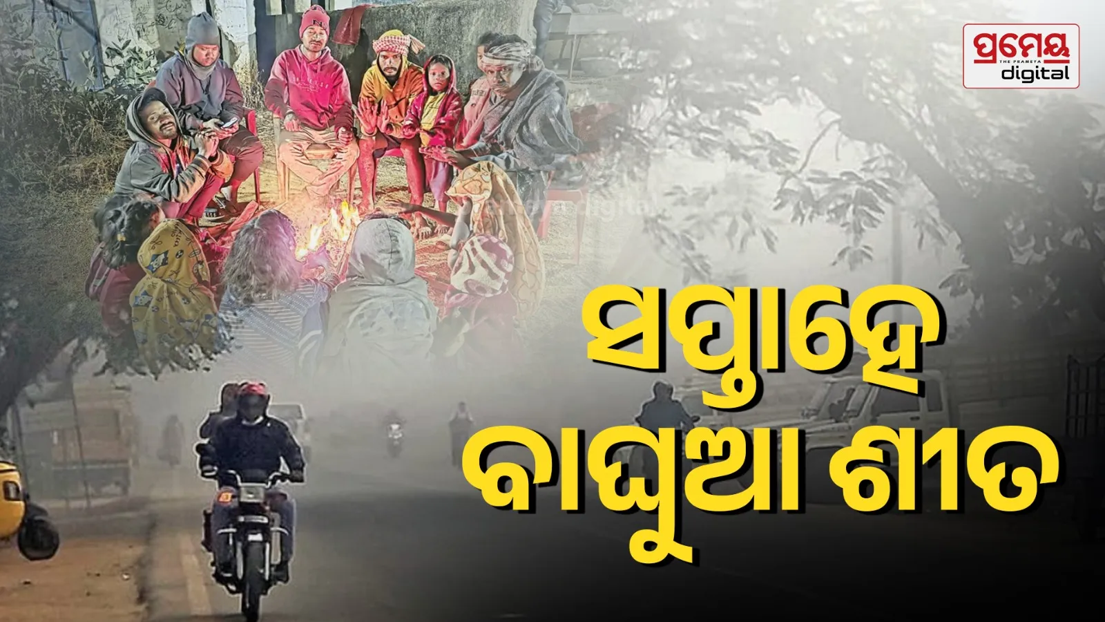 Odisha Freezes: Bhubaneswar Hits 2.5°C!