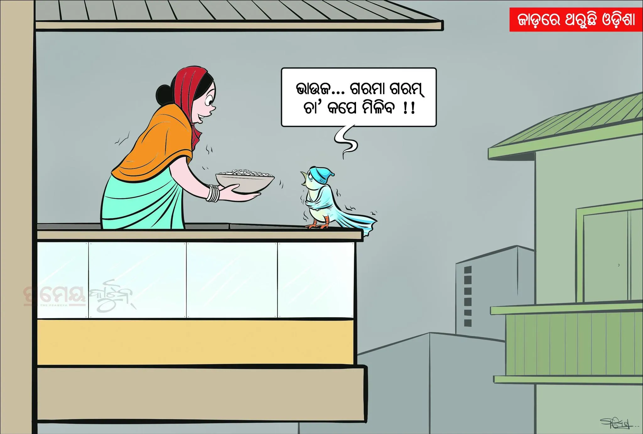 cartoon 