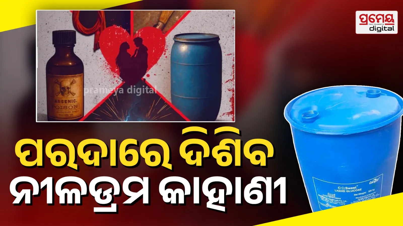 Honeymoon Se Hatya Web Series Review & Streaming Platform – ZEE5 Blue Drum Murder Case
