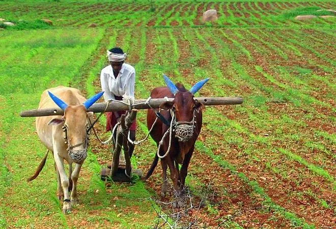 CM Kisan