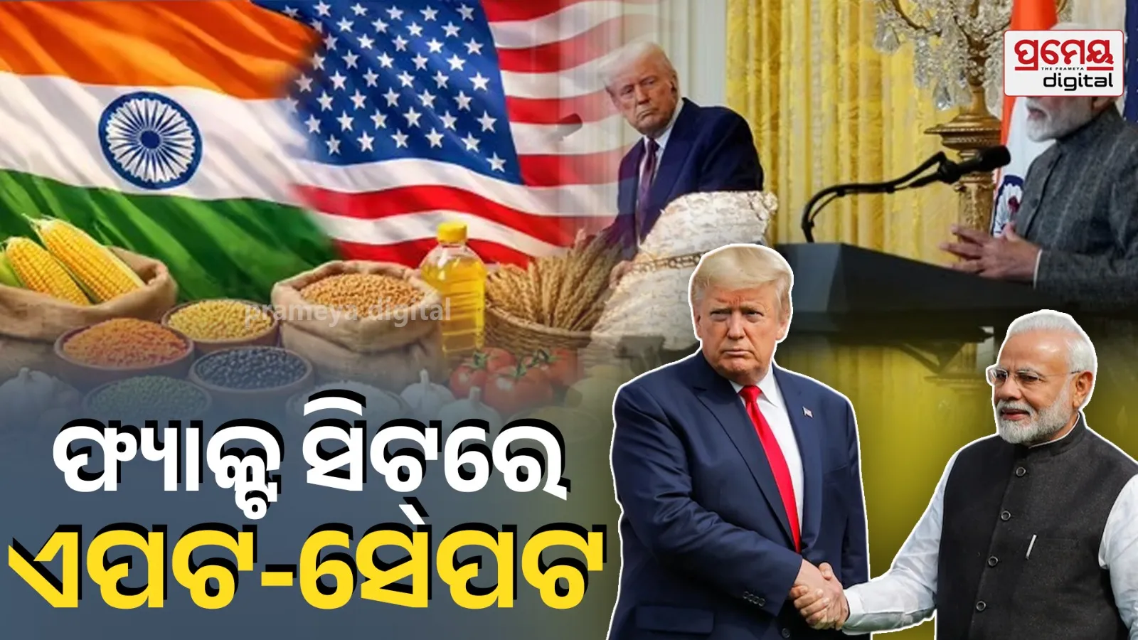 India-US trade deal fact sheet revises