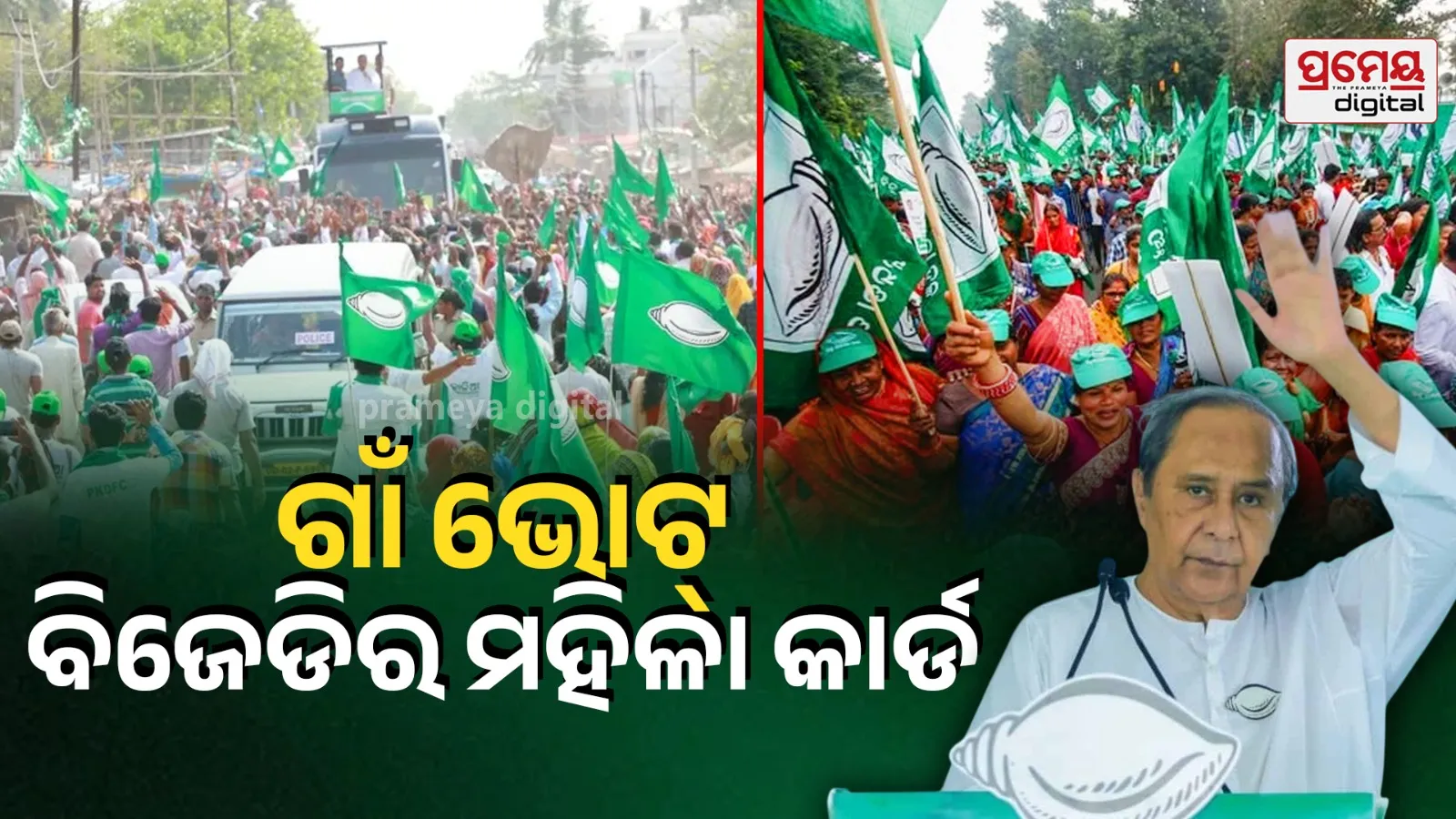 BJD