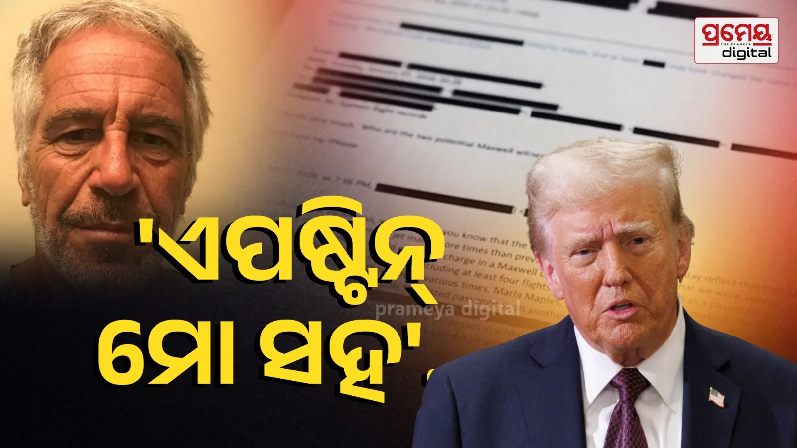 Donald Trump on jeffrey epstein 