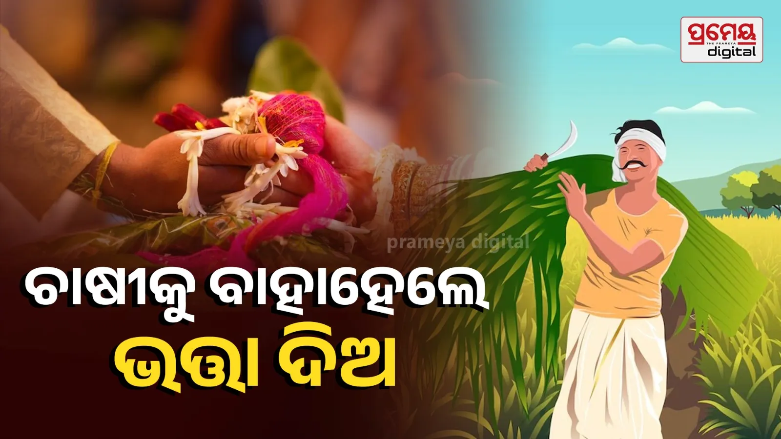 incentives for women marrying farmers