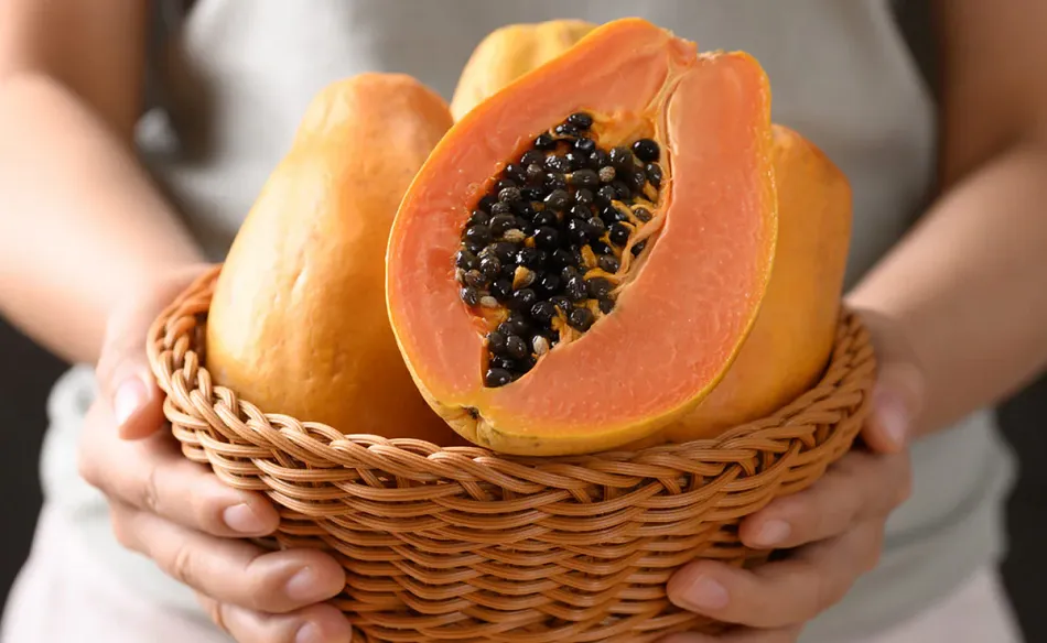 papaya
