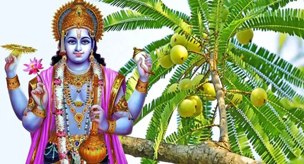 anla ekadashi