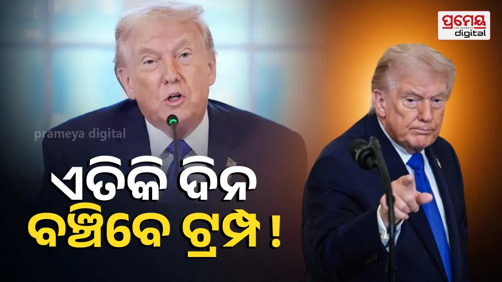 Donald Trump News