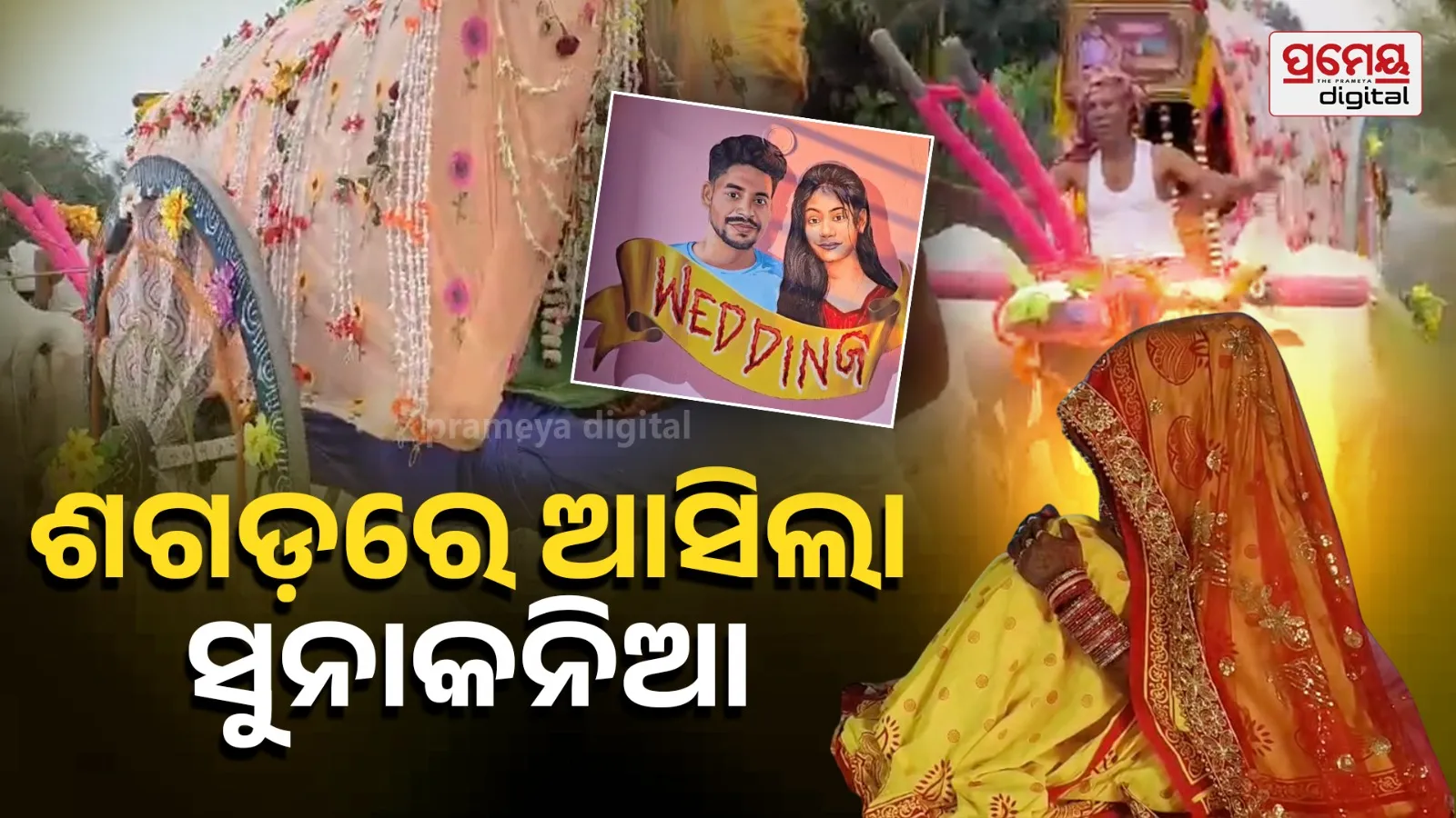bride in bullock cart