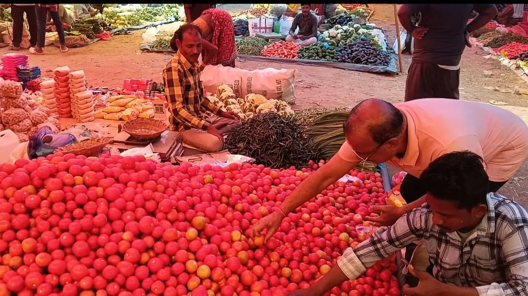 Find fresh, affordable tomatoes at Rs 10/kg and Sajna at Rs 200/kg in Malkangiri Market