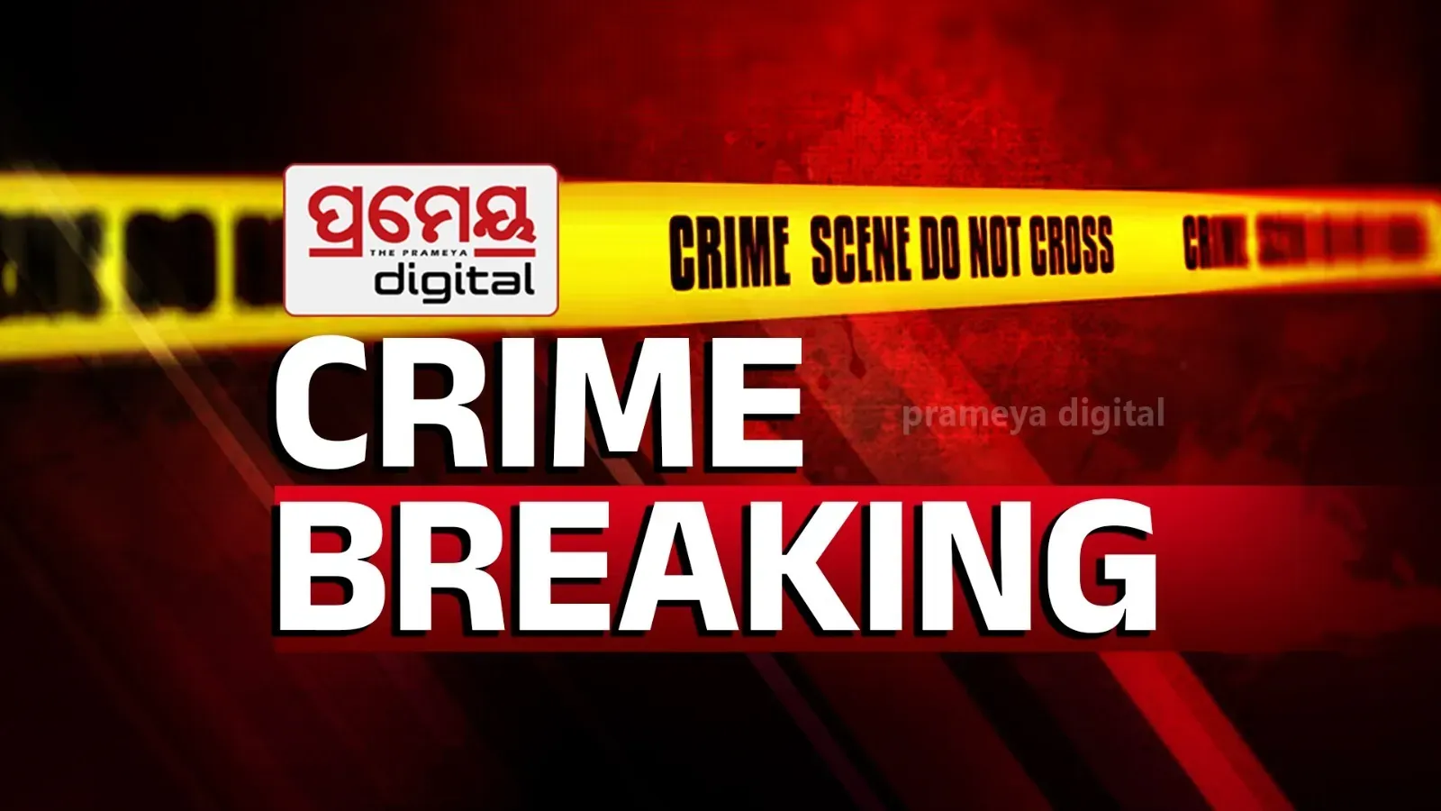 The reason for the MV 16 murder remains unclear as police and a scientific team 