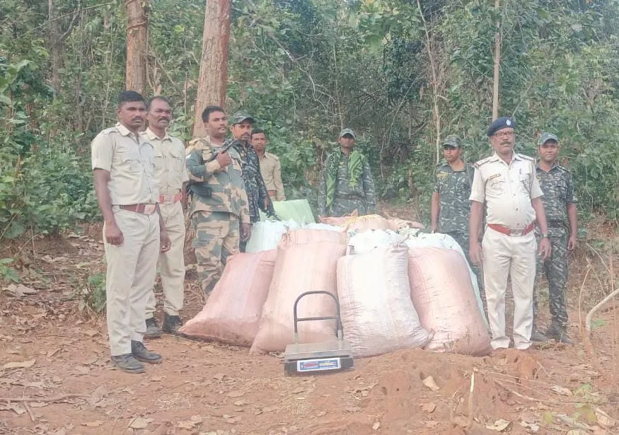 Major Drug Bust in Firingia: Police Seize More Than 16 Quintals of Marijuana in Two Days